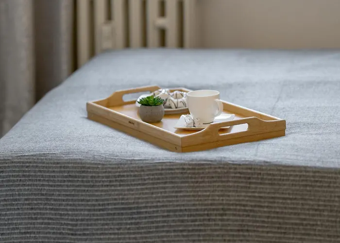 Daire Comfortable Two-bedroom In By Renters Poznan